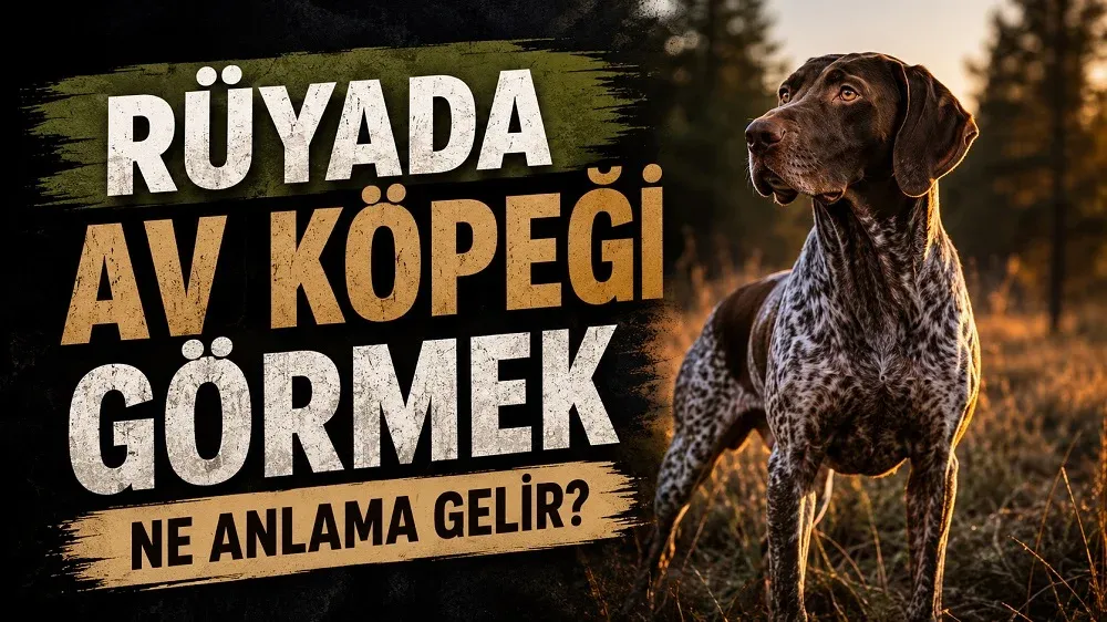 Rüyada av köpeği görmek başlıklı kapak görselinde ormanlık alanda duran bir av köpeği ve “Rüyada Av Köpeği Görmek Ne Anlama Gelir?” yazısı yer alıyor.