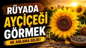 Rüyada Ayçiçeği Görmek Ne Anlama Gelir başlıklı, sarı ayçiçekleri, ayçiçeği çekirdekleri ve sıcak gün batımı tonlarıyla hazırlanmış blog kapak görseli.