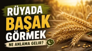 Rüyada Başak Görmek