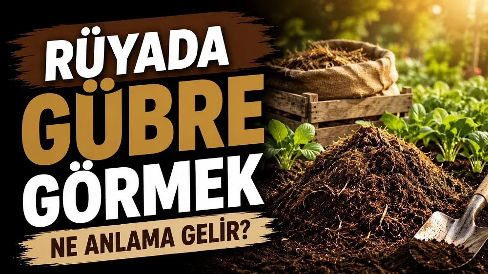 Rüyada gübre görmek ne anlama gelir başlıklı, bahçede doğal gübre yığını, yeşil fideler ve kürek bulunan toprak ve yeşil tonlarda kapak görseli.