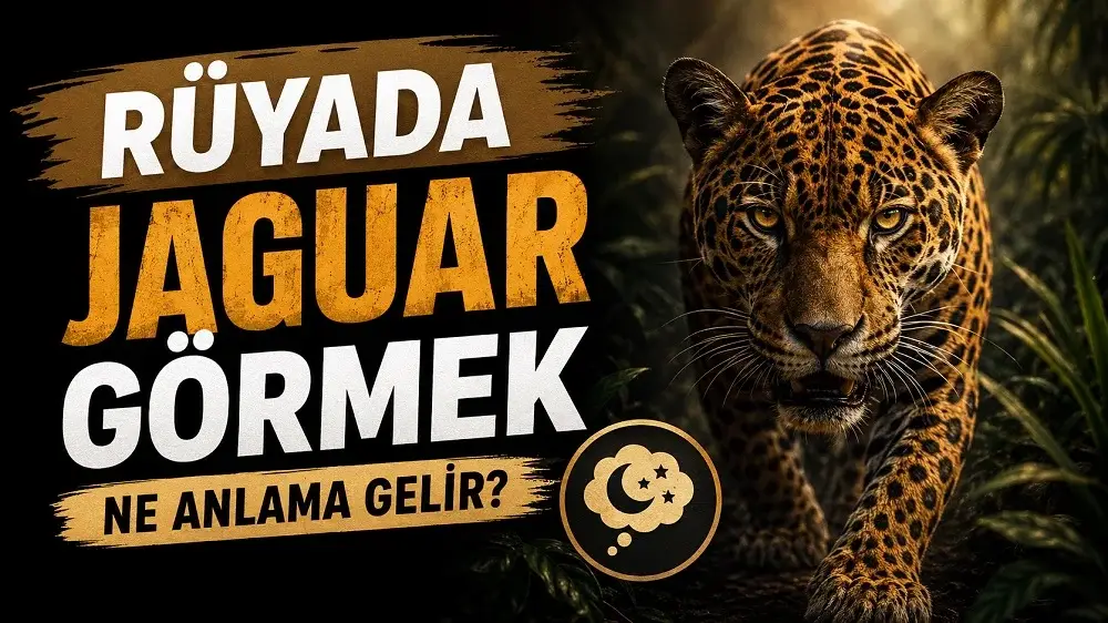 Rüyada Jaguar Görmek Ne Anlama Gelir? yazılı, karanlık ormanda yürüyen jaguar figürlü blog kapak görseli.
