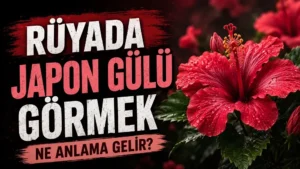 Rüyada Japon Gülü Görmek Ne Anlama Gelir başlıklı, kırmızı Japon gülü çiçeği ve koyu arka planla hazırlanmış rüya tabiri kapak görseli.