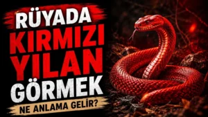 Rüyada Kırmızı Yılan Görmek Ne Anlama Gelir?