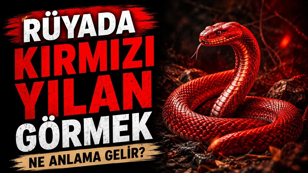Rüyada kırmızı yılan görmek ne anlama gelir başlıklı, koyu zemin üzerinde kırmızı yılanın yer aldığı siyah ve kırmızı tonlu kapak görseli.