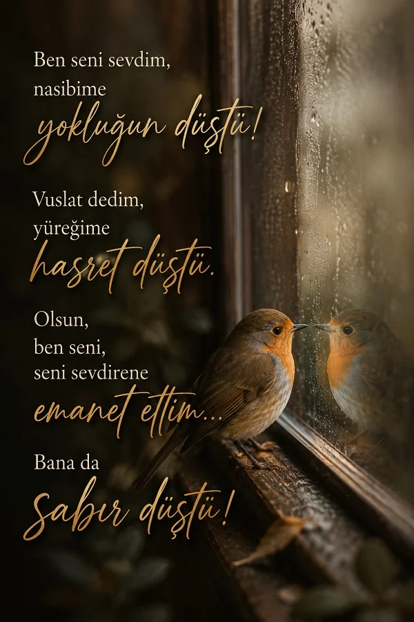 Pencere önünde duran küçük bir kuş ve camdaki yansıması yanında “Ben seni sevdim, nasibime yokluğun düştü… Bana da sabır düştü!” sözlerinin yer aldığı duygusal tasarım.