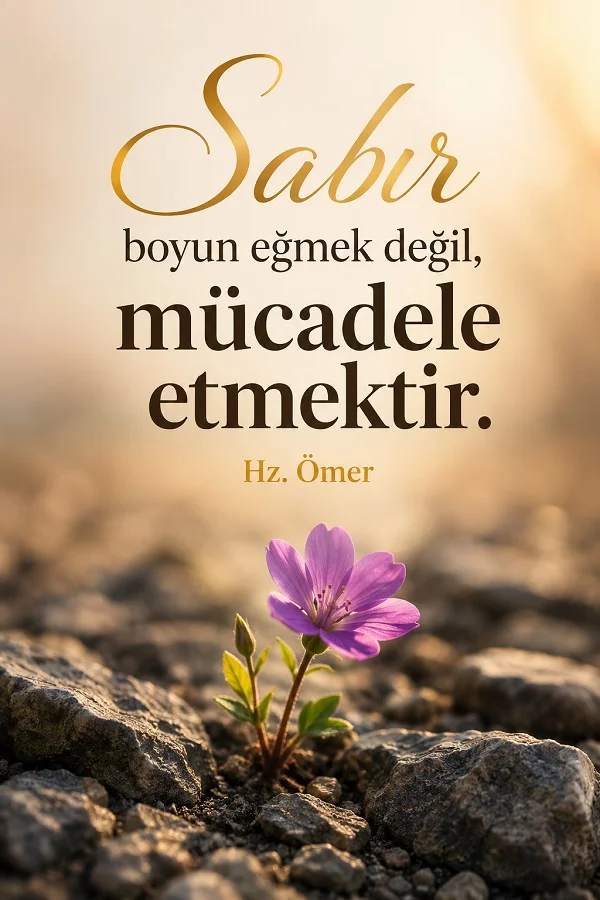 Taşların arasından çıkan mor çiçek eşliğinde “Sabır, boyun eğmek değil, mücadele etmektir. Hz. Ömer” yazısının bulunduğu tasarım.