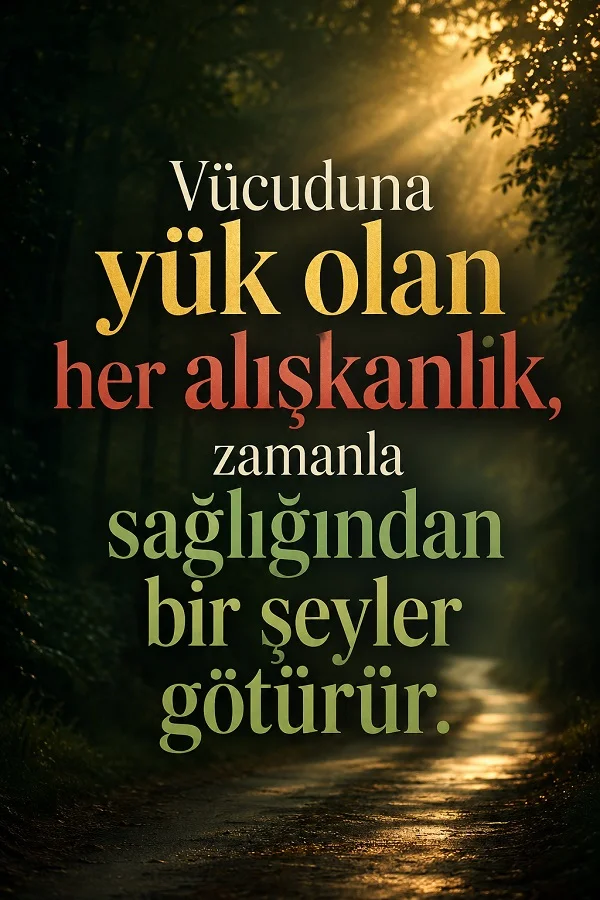 Orman yolunda ışık huzmeleri eşliğinde “Vücuduna yük olan her alışkanlık, zamanla sağlığından bir şeyler götürür.” sözü yer alıyor.