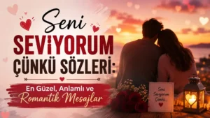 Gün batımı karşısında yan yana oturan romantik çift silüeti, kırmızı güller ve “Seni Seviyorum Çünkü Sözleri” yazısıyla hazırlanmış duygusal kapak görseli.