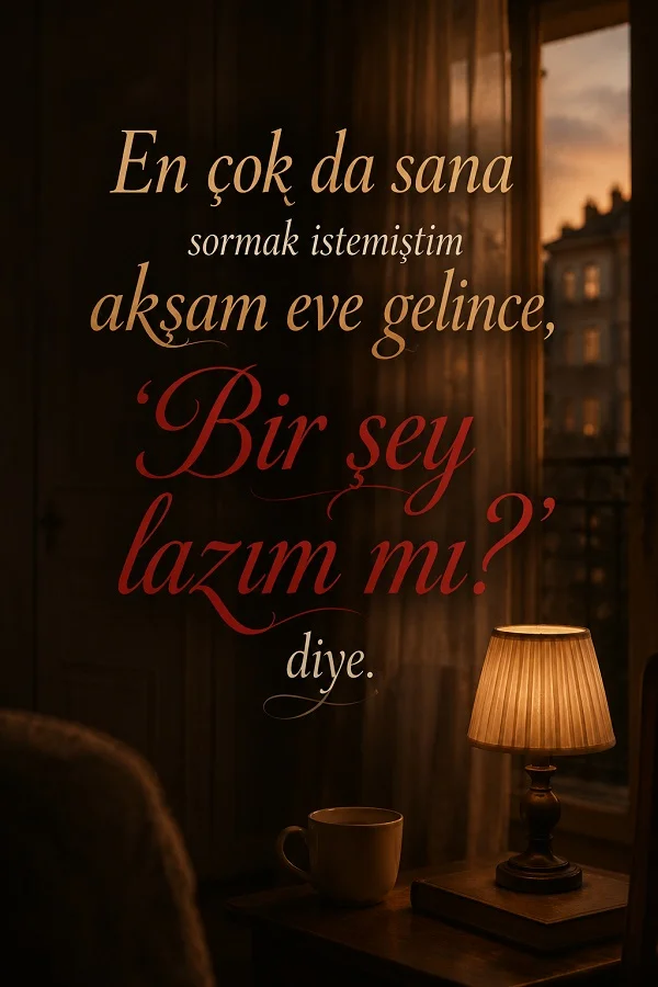 Loş ışıklı bir odada masa lambası ve fincan bulunan pencere kenarı manzarası üzerinde “En çok da sana sormak istemiştim akşam eve gelince, ‘Bir şey lazım mı?’ diye.” sözü yer alıyor.