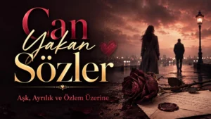 Can yakan sözler başlığıyla, gün batımında ayrılan iki kişi, kırmızı gül, mektup ve hüzünlü atmosferin yer aldığı modern kapak görseli.