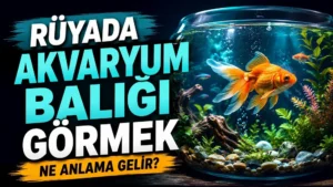 Rüyada akvaryum balığı görmek ne anlama gelir başlıklı kapak görselinde, bitkilerle süslenmiş cam akvaryum içinde yüzen renkli balıklar ve büyük tipografik başlık yer alıyor.