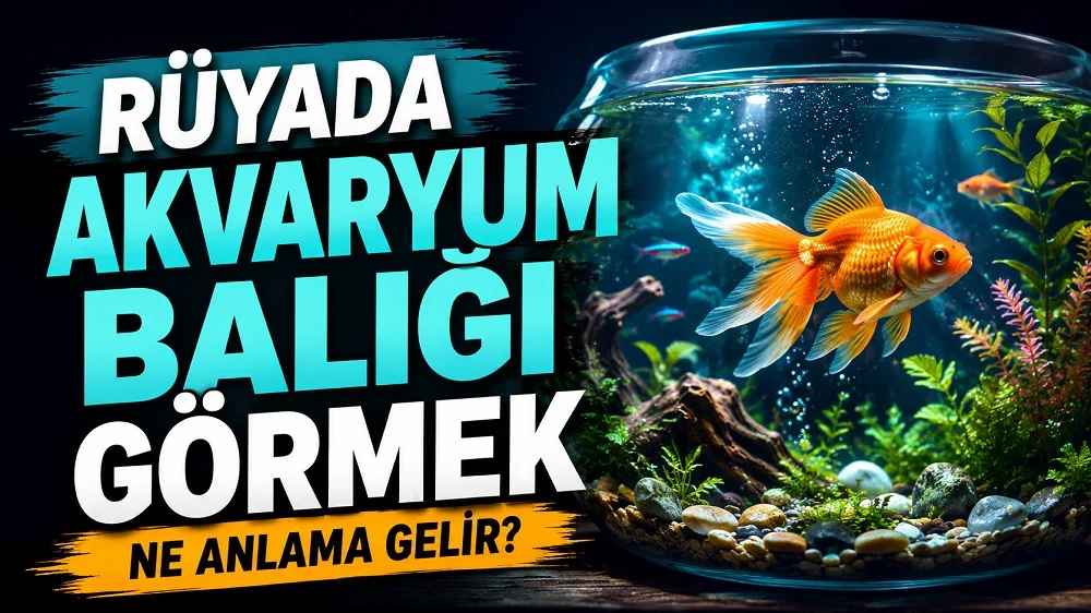 Rüyada akvaryum balığı görmek ne anlama gelir başlıklı kapak görselinde, bitkilerle süslenmiş cam akvaryum içinde yüzen renkli balıklar ve büyük tipografik başlık yer alıyor.