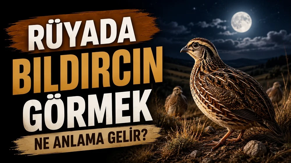 Ay ışığı altında doğal arazide duran gerçekçi bıldırcın; sol tarafta “Rüyada Bıldırcın Görmek Ne Anlama Gelir?” yazısı bulunan blog kapak tasarımı.