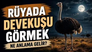 Ay ışığı altında açık arazide duran gerçekçi devekuşu; sol tarafta “Rüyada Devekuşu Görmek Ne Anlama Gelir?” yazısı bulunan blog kapak tasarımı.