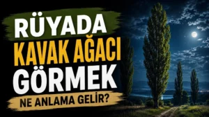 Ay ışığı altında uzun kavak ağaçlarının bulunduğu gece manzarası; sol tarafta “Rüyada Kavak Ağacı Görmek Ne Anlama Gelir?” yazısı bulunan blog kapak tasarımı.