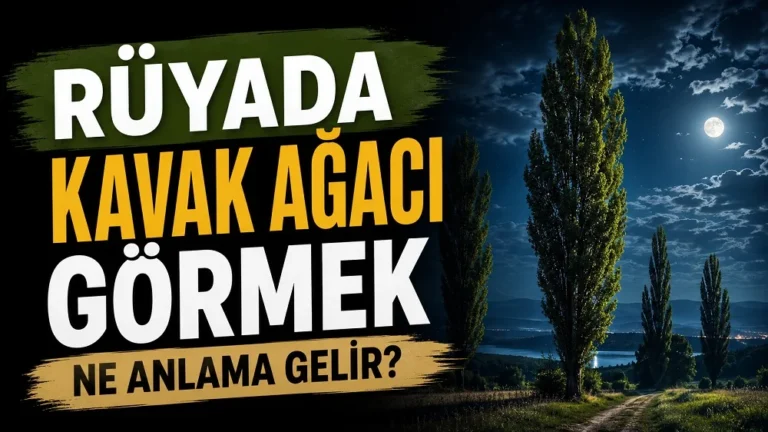 Ay ışığı altında uzun kavak ağaçlarının bulunduğu gece manzarası; sol tarafta “Rüyada Kavak Ağacı Görmek Ne Anlama Gelir?” yazısı bulunan blog kapak tasarımı.