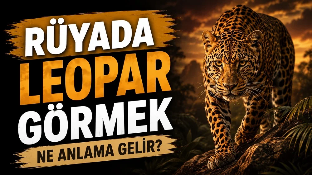 Sol tarafta “Rüyada Leopar Görmek Ne Anlama Gelir?” yazısının yer aldığı, sağ tarafta gün batımı tonlarında kayalık zeminde yürüyen bir leoparın bulunduğu çarpıcı kapak tasarımı.