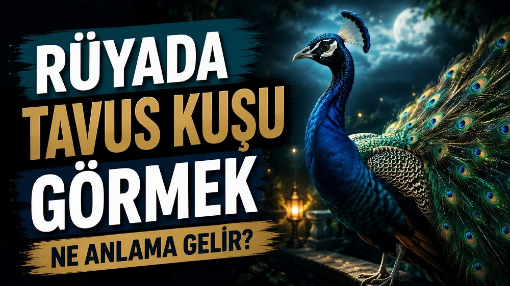 Ay ışıklı bahçe ortamında tüylerini sergileyen renkli tavus kuşu; sol tarafta “Rüyada Tavus Kuşu Görmek Ne Anlama Gelir?” yazısı bulunan blog kapak tasarımı.