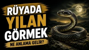 Rüyada Yılan Görmek Ne Anlama Gelir?