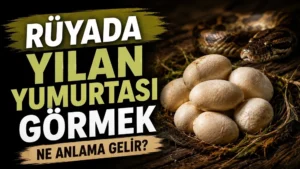Rüyada Yılan Yumurtası Görmek Ne Anlama Gelir?
