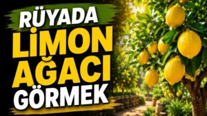 Sol tarafta “Rüyada Limon Ağacı Görmek” yazısı bulunan, sağ tarafta güneş ışığı altında sarı limonlarla dolu yeşil yapraklı limon ağacının yer aldığı ferah kapak tasarımı.