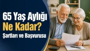 65 Yaş Aylığı Ne Kadar? Şartları ve Başvurusu