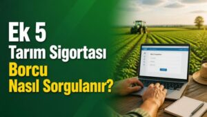 Ek 5 Tarım Sigortası Borcu Nasıl Sorgulanır?