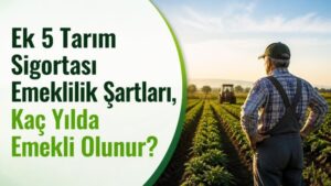 Ek 5 Tarım Sigortası Emeklilik Şartları, Kaç Yılda Emekli Olunur?