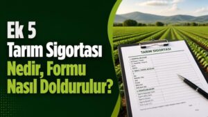 Ek 5 Tarım Sigortası Nedir, Formu Nasıl Doldurulur?