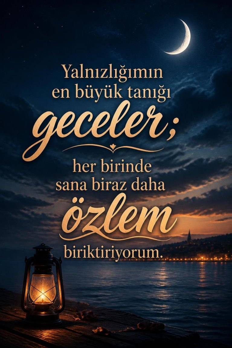Yalnızlığımın en büyük tanığı geceler; her birinde sana biraz daha özlem biriktiriyorum.
