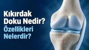 Kıkırdak Doku Nedir? Özellikleri Nelerdir?