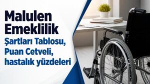 Malulen Emeklilik Şartları Tablosu, Puan Cetveli, hastalık yüzdeleri