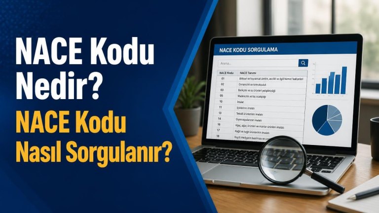 NACE Kodu Nedir? NACE Kodu Nasıl Sorgulanır?