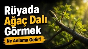 Rüyada Ağaç Dalı Görmek Ne Anlama Gelir?