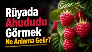 Rüyada Ahududu Görmek Ne Anlama Gelir?