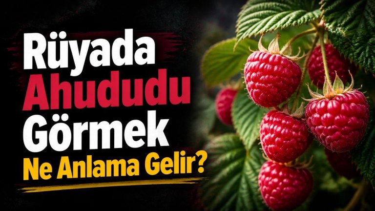 Rüyada Ahududu Görmek Ne Anlama Gelir?