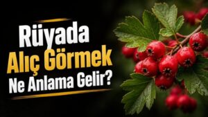Rüyada Alıç Görmek Ne Anlama Gelir?