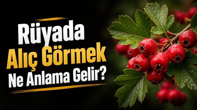 Rüyada Alıç Görmek Ne Anlama Gelir?