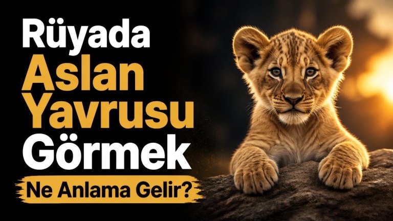 Rüyada Aslan Yavrusu Görmek Ne Anlama Gelir?