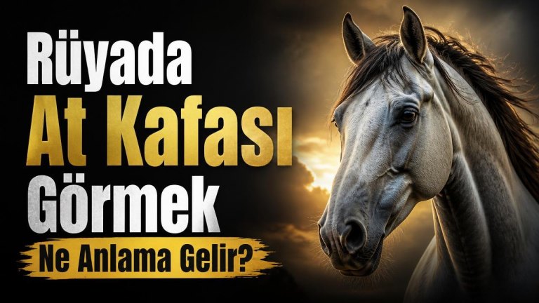 Rüyada At Kafası Görmek Ne Anlama Gelir?