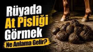 Rüyada At Pisliği Görmek Ne Anlama Gelir?