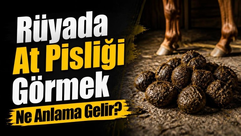 Rüyada At Pisliği Görmek Ne Anlama Gelir?