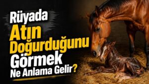 Rüyada Atın Doğurduğunu Görmek Ne Anlama Gelir?