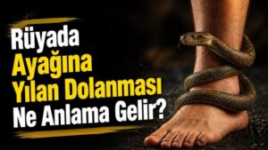 Rüyada Ayağına Yılan Dolanması Ne Anlama Gelir?