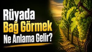 Rüyada Bağ Görmek Ne Anlama Gelir?