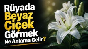 Rüyada Beyaz Çiçek Görmek Ne Anlama Gelir?