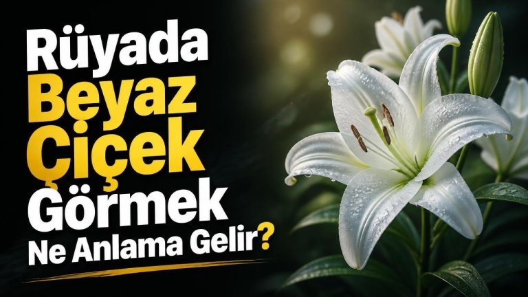 Rüyada Beyaz Çiçek Görmek Ne Anlama Gelir?