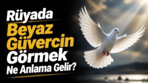 Rüyada Beyaz Güvercin Görmek Ne Anlama Gelir?