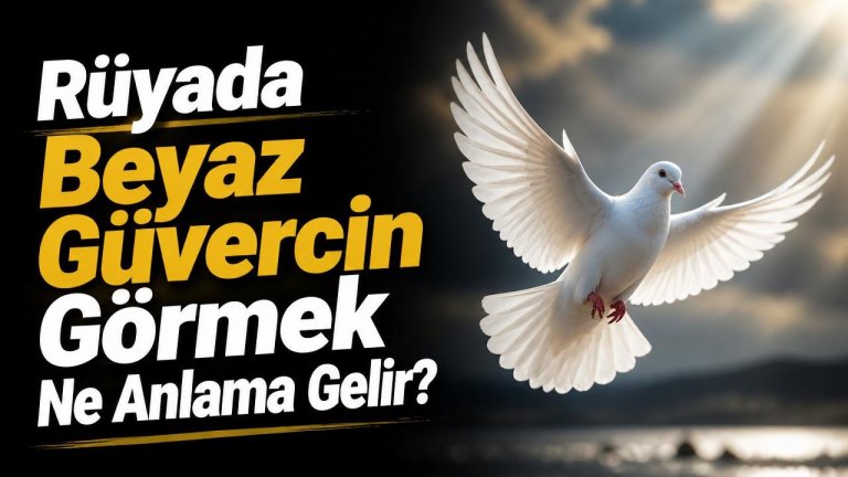 Rüyada Beyaz Güvercin Görmek Ne Anlama Gelir?