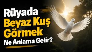 Rüyada Beyaz Kuş Görmek Ne Anlama Gelir?